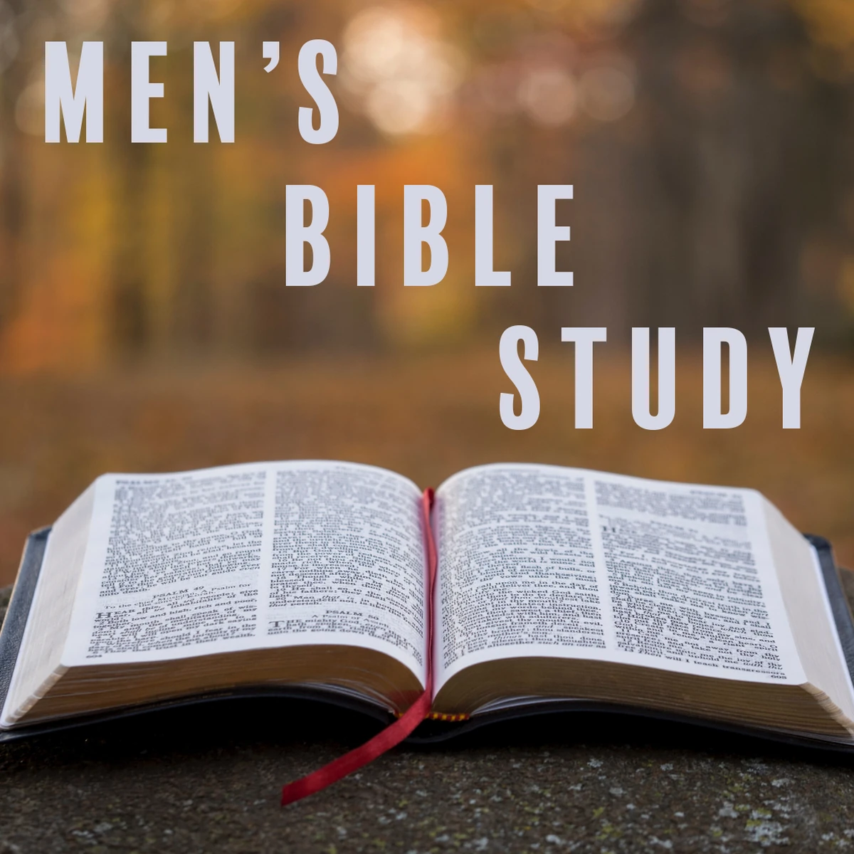 Mens Bible Study North Bible Church in Scottsdale, AZ